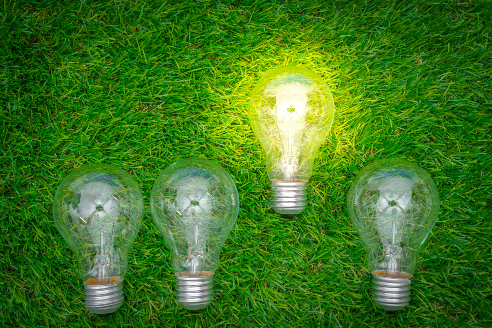 Four lightbulbs on grass, with one lit, for an eco concept