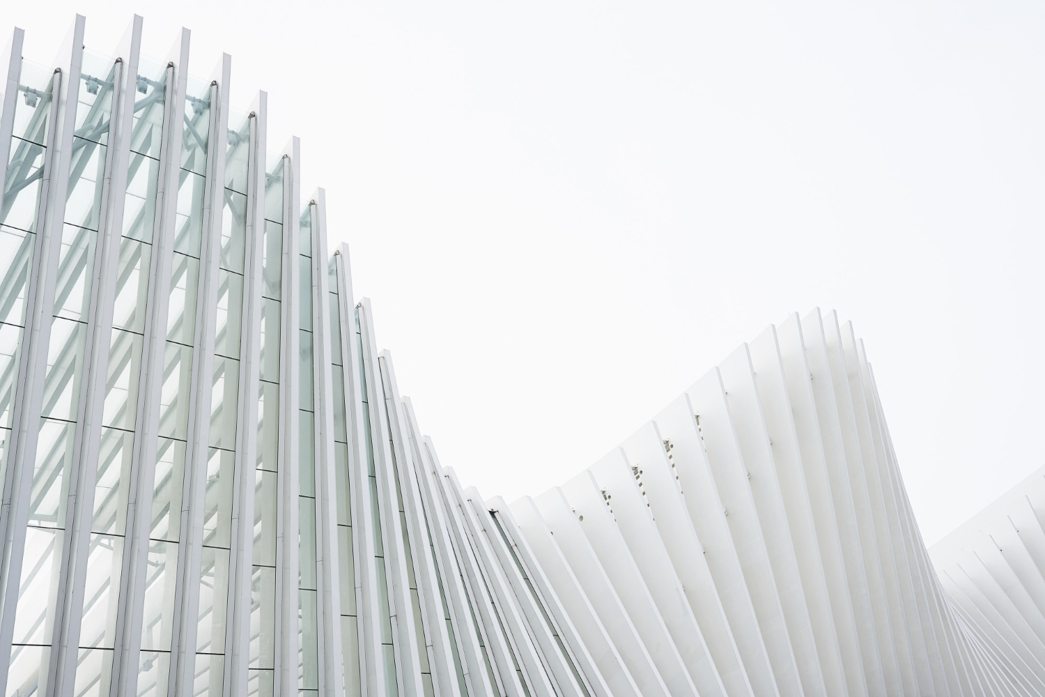 Abstract buildings with white metallic ribs and glass windows