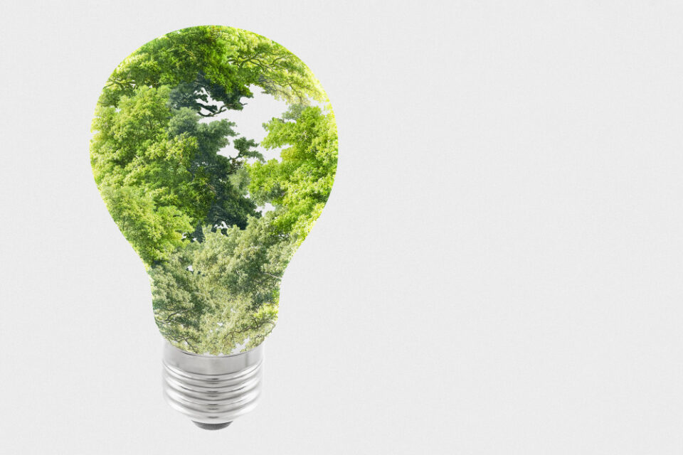 sustainable-energy-campaign-tree-light-bulb-media-remix