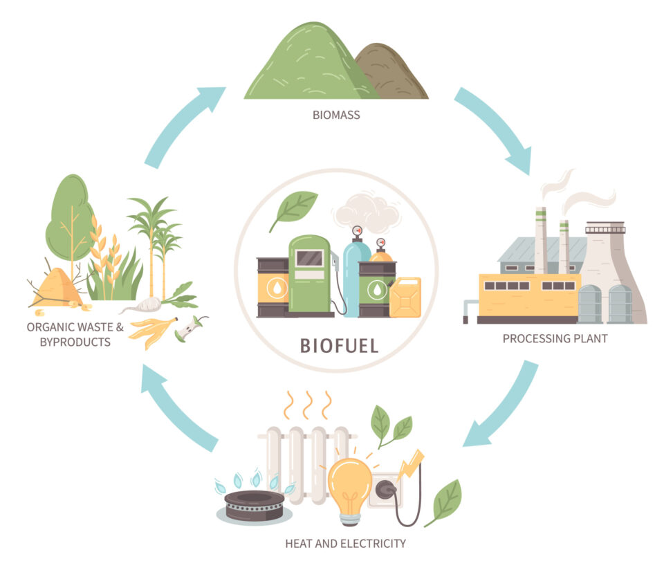 biofuel production